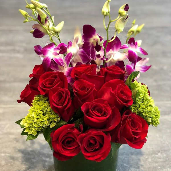 Bejeweled Nights - 빛나는 밤