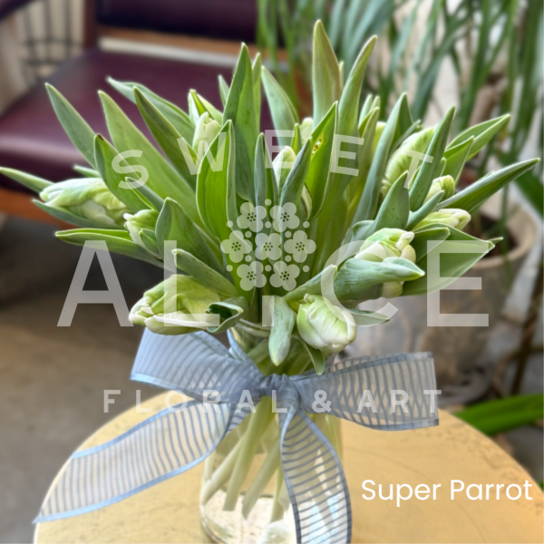 Green tulip bouquet with a blue striped ribbon in a glass vase