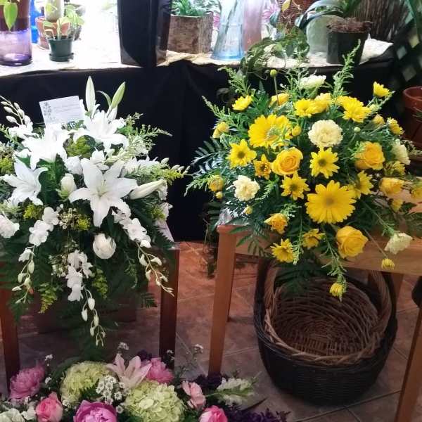 Pick a monochromatic design