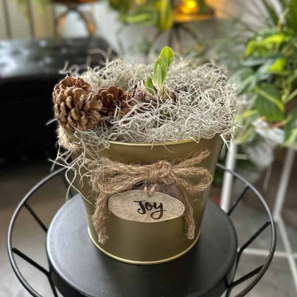 Small potted arrangement with pinecones and a green sprout in a gold container