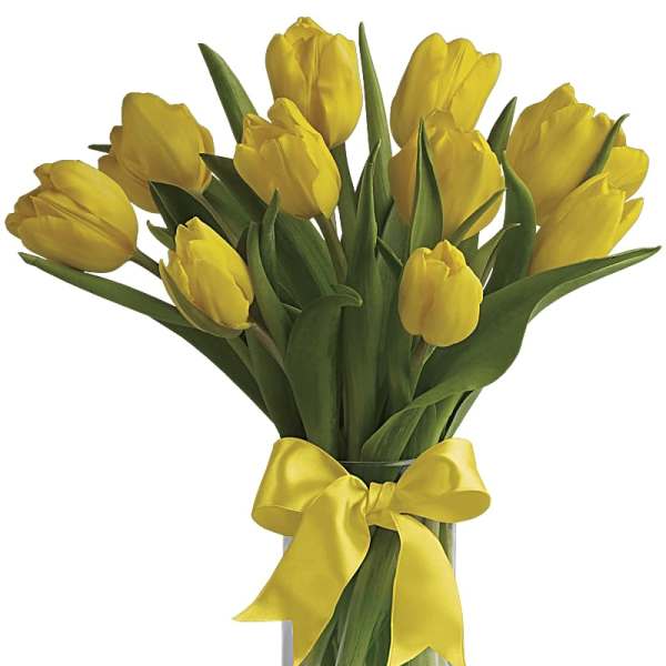 Arrangement of yellow tulips in a clear glass vase tied with a yellow ribbon bow