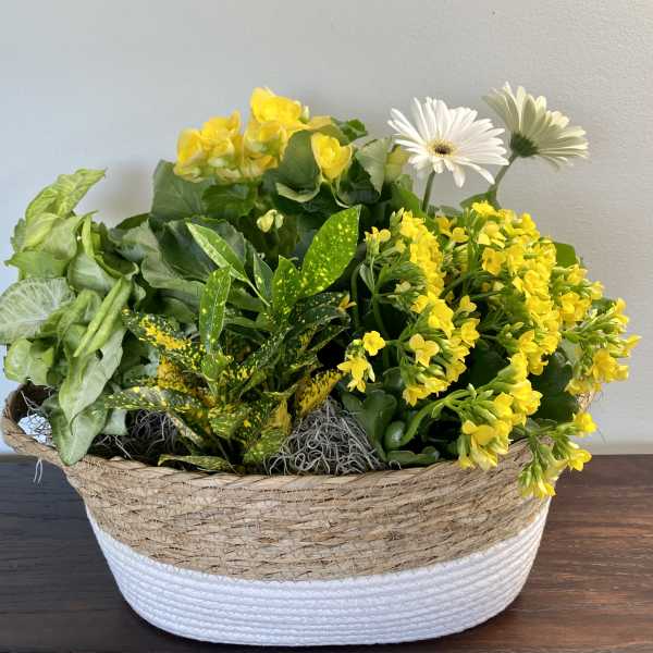 Blooming Basket