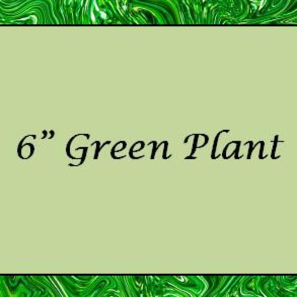 Text reading "6" Green Plant" on a green patterned background