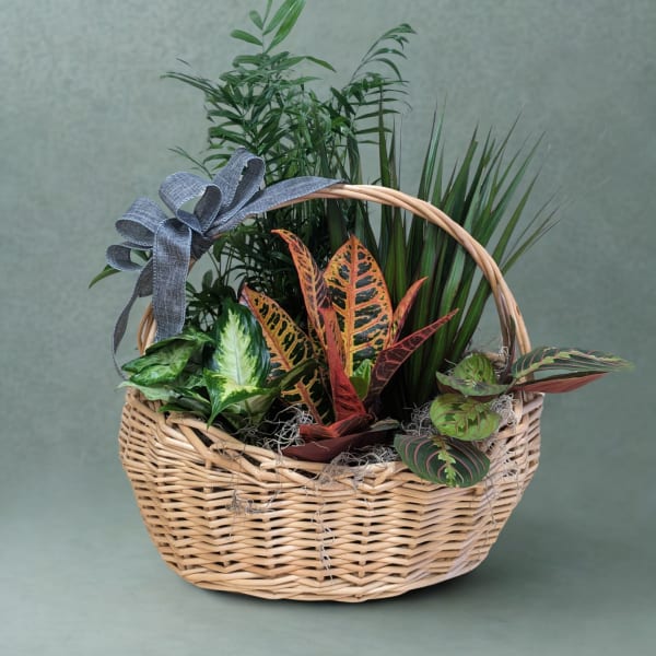 Gathered Greens Basket
