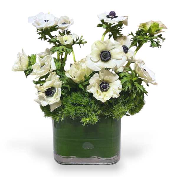 White anemones arranged in a square glass vase with green filler
