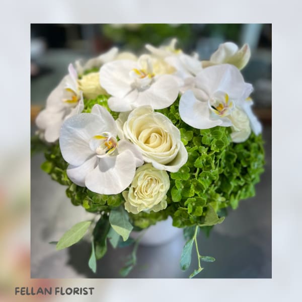 White orchids and cream roses in a round green arrangement