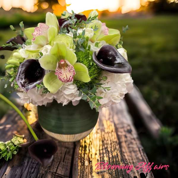 Bouquet of green orchids, white hydrangeas, and dark calla lilies in a vase