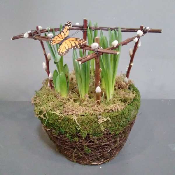 Potted green bulb shoots in a moss-covered basket with twig trellis and a decorative orange butterfly.