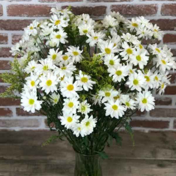 Tall bouquet of white daisies in a clear glass vase