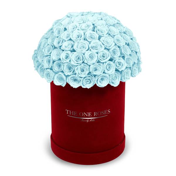 Light blue roses arranged in a red round box