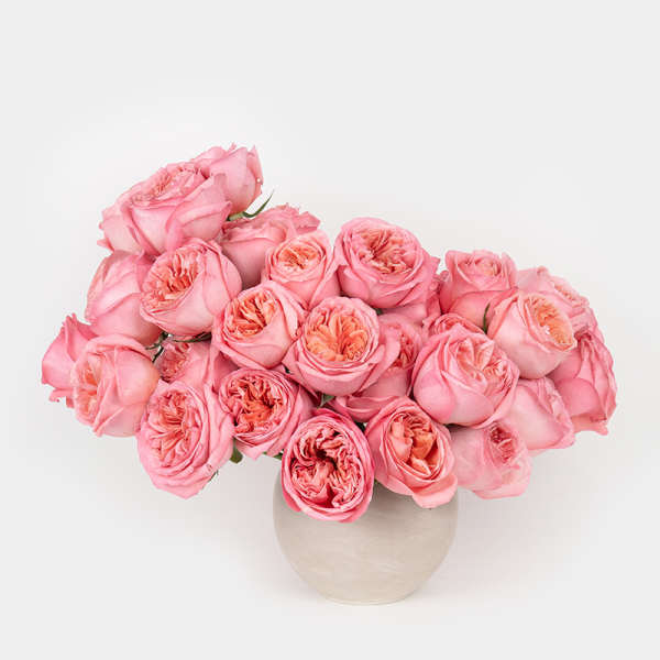 Pink roses arranged in a round ceramic vase