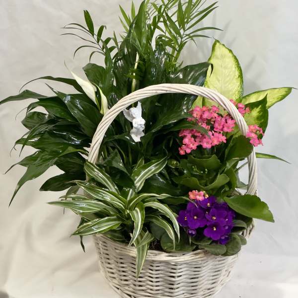 Flowering Angel Garden Dish