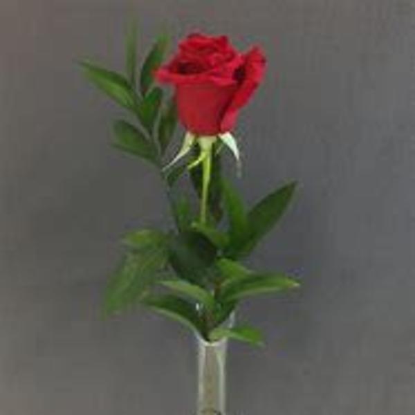 Single Rose Vase