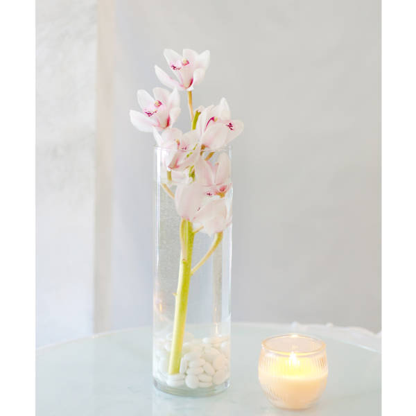 Pink cymbidium orchids