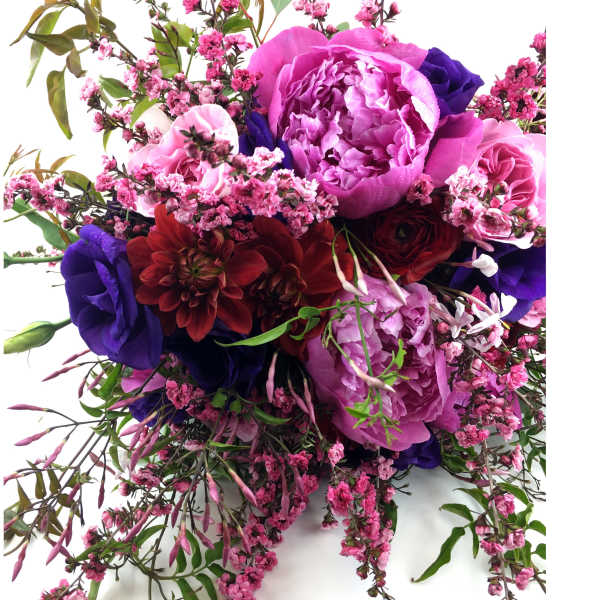 Cascading bouquet of pink peonies, burgundy blooms, and deep purple flowers on a white background