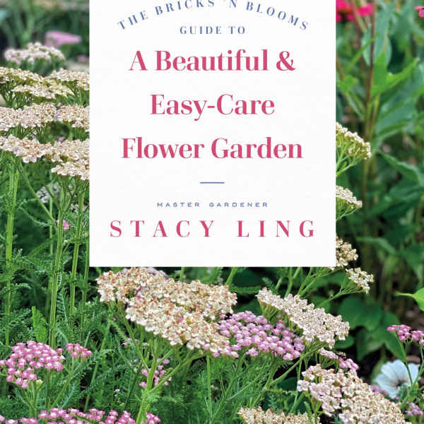The Bricks 'N Blooms guide to a beautiful & easy care garden