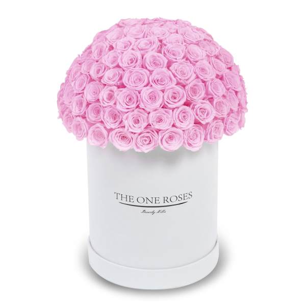 Pink rose bouquet in a white cylindrical box