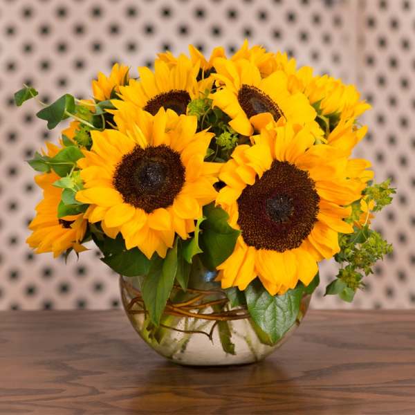 Bouquet of yellow sunflowers in a glass bowl vase