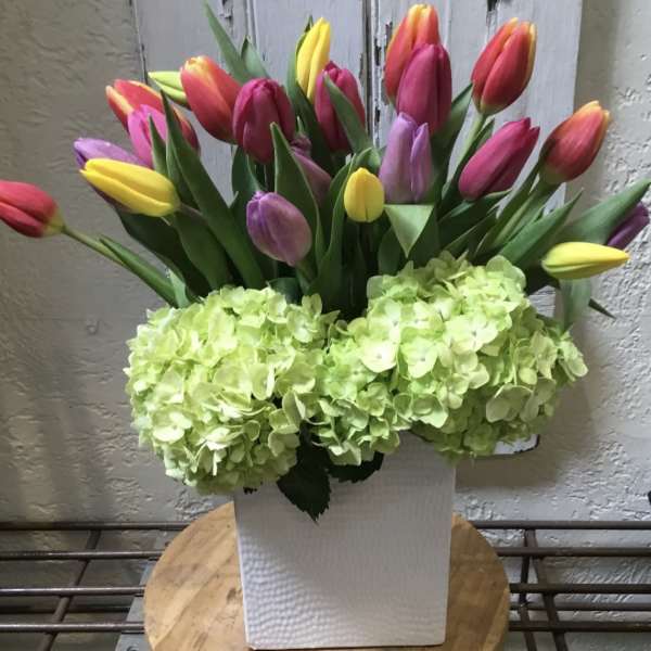 Bouquet of multicolored tulips with pale green hydrangeas in a white vase