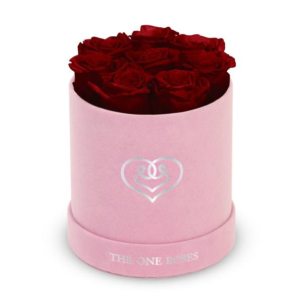 Red roses in a pink round box