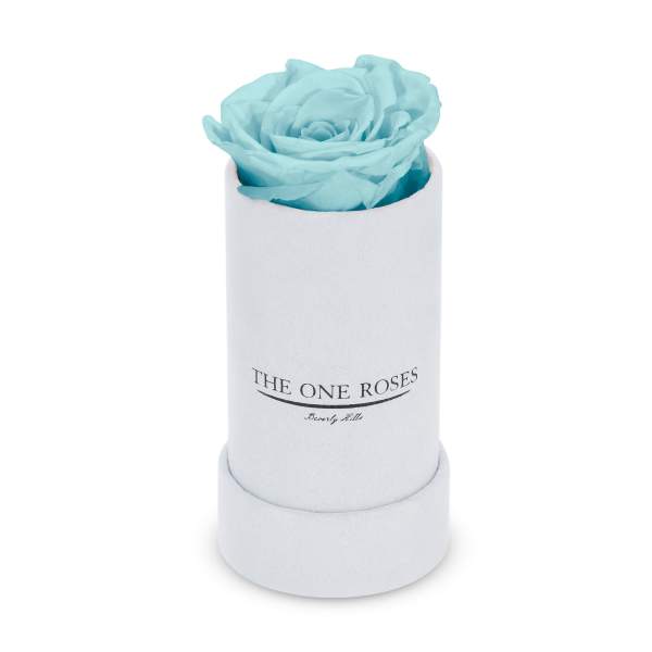Single blue rose in a white cylindrical box