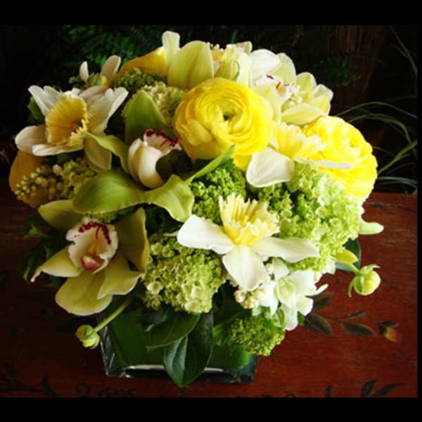 Cymbidium orchids, hydrangea, ranunculus, and daffodils in a square glass vase with tea leaf.