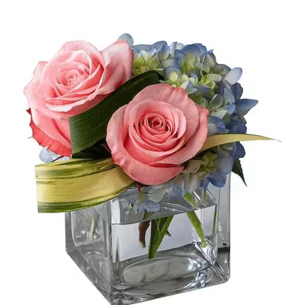Pink roses and blue hydrangeas in a clear square vase