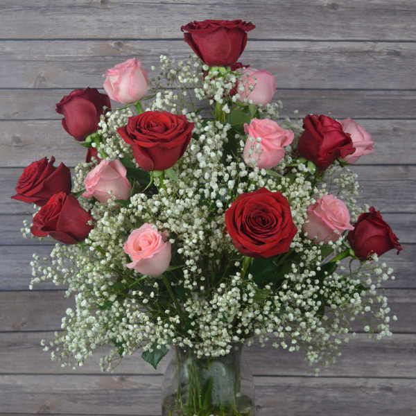 Red and pink roses arranged in a glass vase with baby's breath