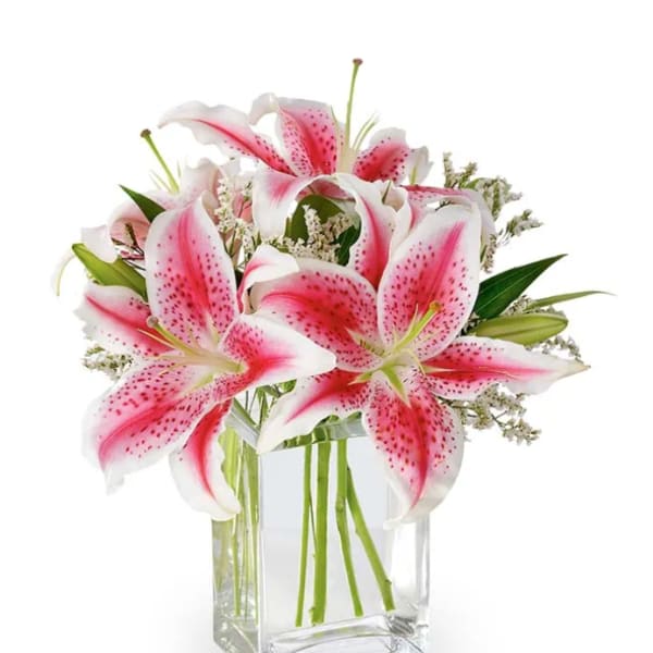 Pink stargazer lilies in a clear glass vase