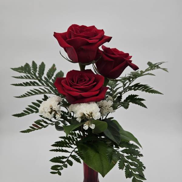 Three red roses in a red vase with white filler flowers