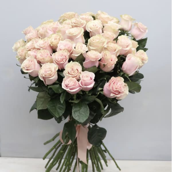 Light Pink Rose Special - WeHo