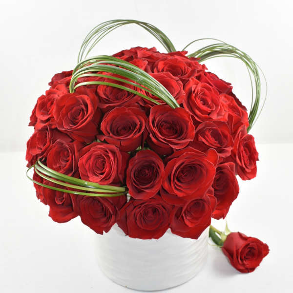 Compact arrangement of red roses in a white vase with looping green blades of grass.