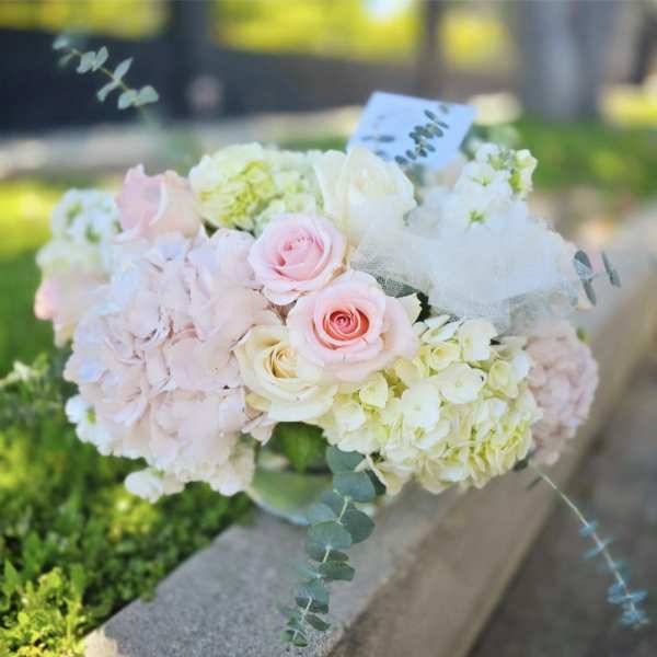 Pastel Bubble (premium)