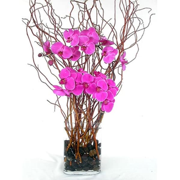 Pink orchids arranged in a clear glass vase with curly branches
