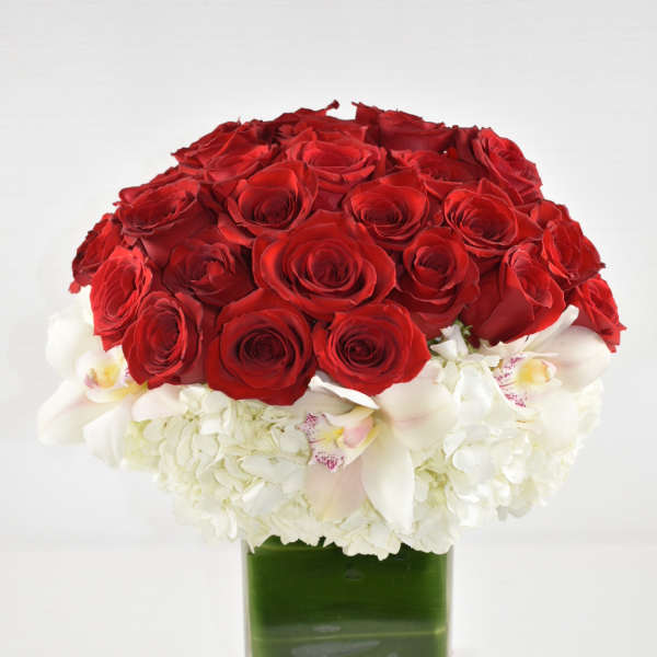 Red roses and white orchids in a square glass vase
