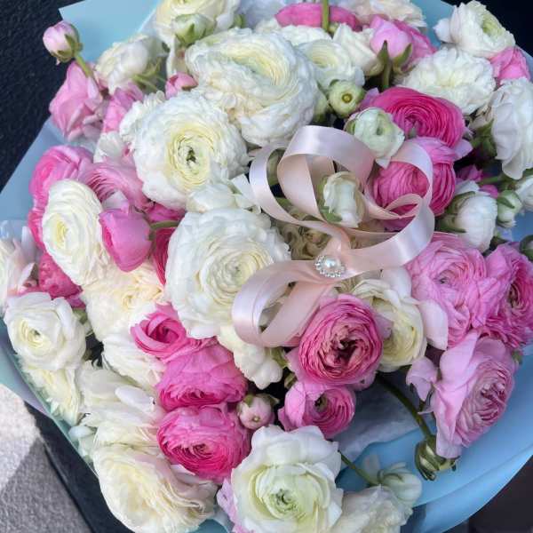 Bouquet of pink and white ranunculus with a pale pink ribbon