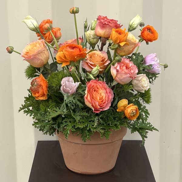 Mixed orange and pink flowers in a terracotta pot