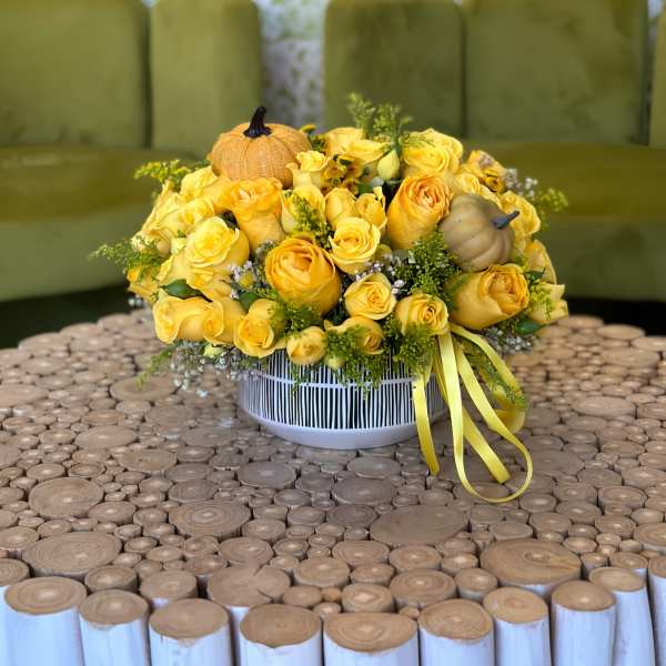 Yellow rose arrangement in a striped white container with small pumpkins