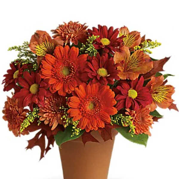 Orange and red daisy bouquet in a brown pot