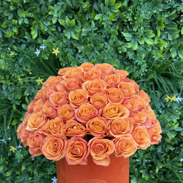 Orange roses arranged in a tall orange hatbox