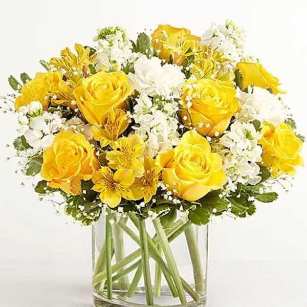 Sunny Elegance Modern Arrangement