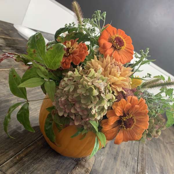 Pumpkin filled with antique hydrangeas, goldenrod, zinnias