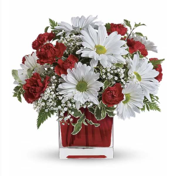 Red carnations and white daisies arranged in a red glass vase
