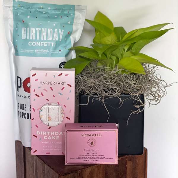 Plant Birthday Bundle