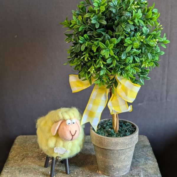 Sunny the Lamb & His Topiary