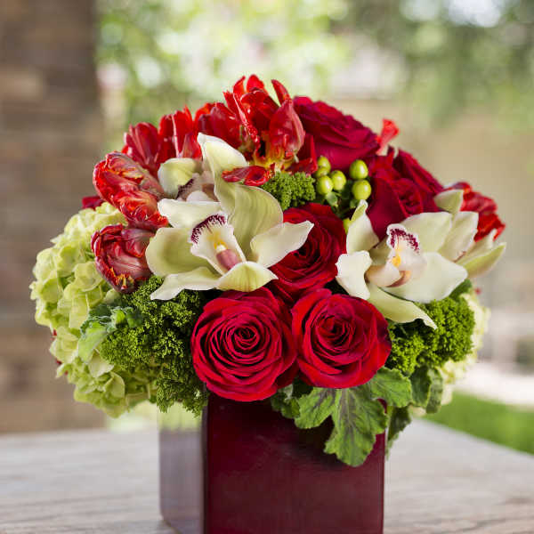 Red roses and white orchids arranged in a burgundy vase