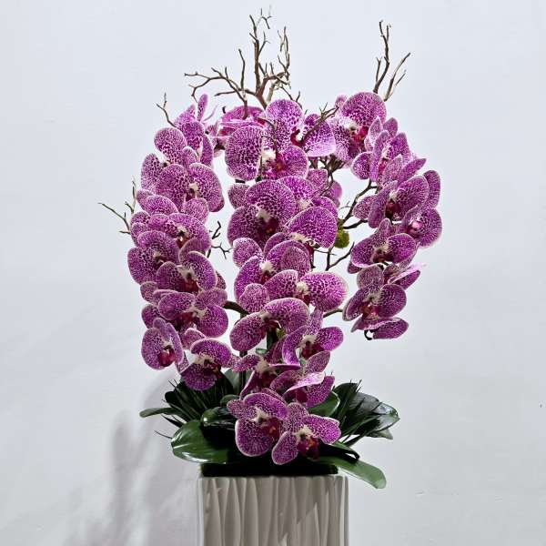 Purple orchids arranged in a white square vase