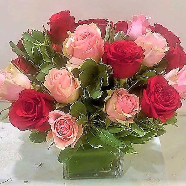Short arrangement of red and pink roses in a clear glass cube vase
