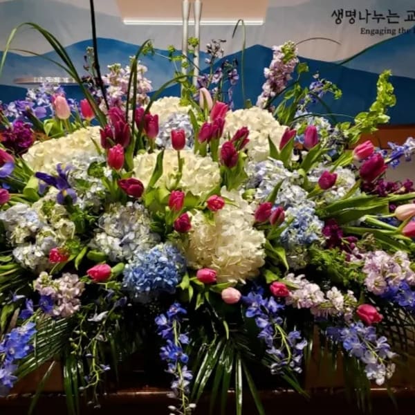 Large altar spray with white and blue hydrangeas, pink tulips, blue delphinium and green bells of Ireland
