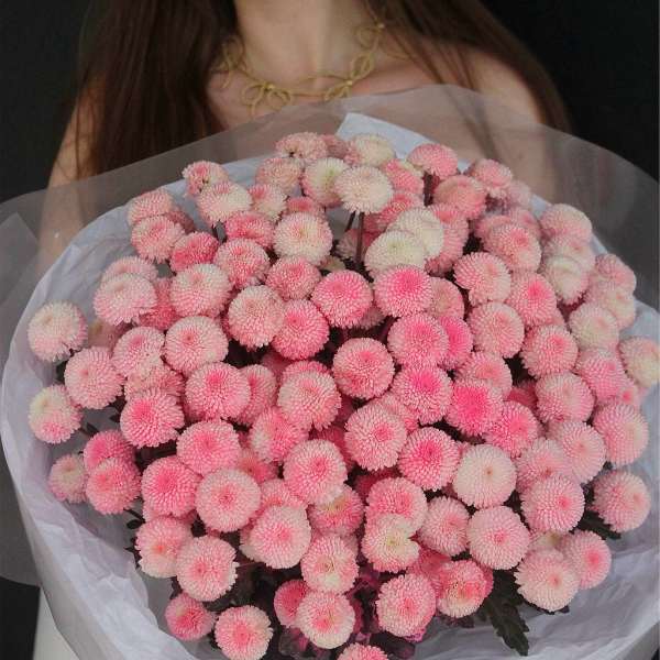 Large bouquet of pink and white pompom flowers wrapped in white paper